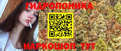 гидропоника Бугуруслан