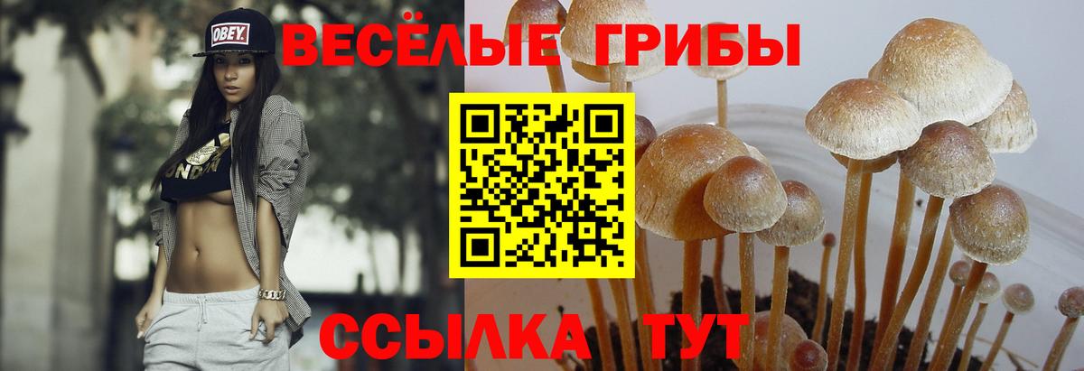 Галлюциногенные грибы мухоморы  Вход с VPN  Минеральные Воды 